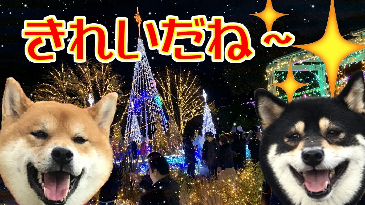 【第3話】京都嵐山～大阪～日本犬保存会全国展～とっとり花回廊☆テツとハルの旅