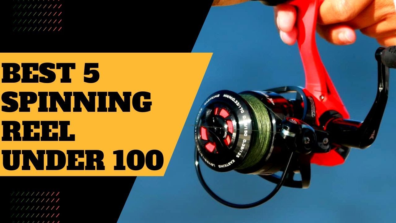 BEST 5 Spinning Reels Under 100 (5 BEST Spinning Reels Under 100