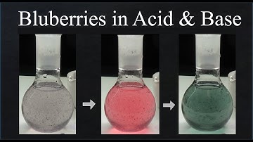 Blueberries in Acid and in Base (An example of a chemical indicator)  🔵🔵🔵