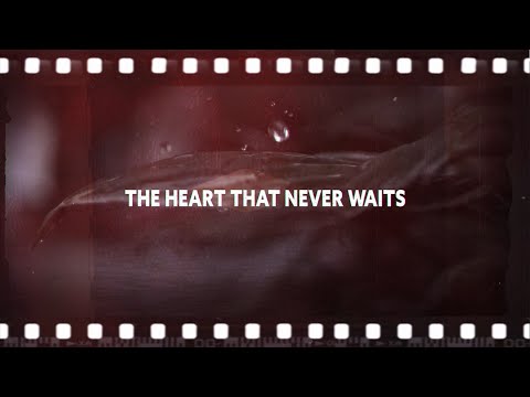 Joe bonamassa - "the heart that never waits" - official music video