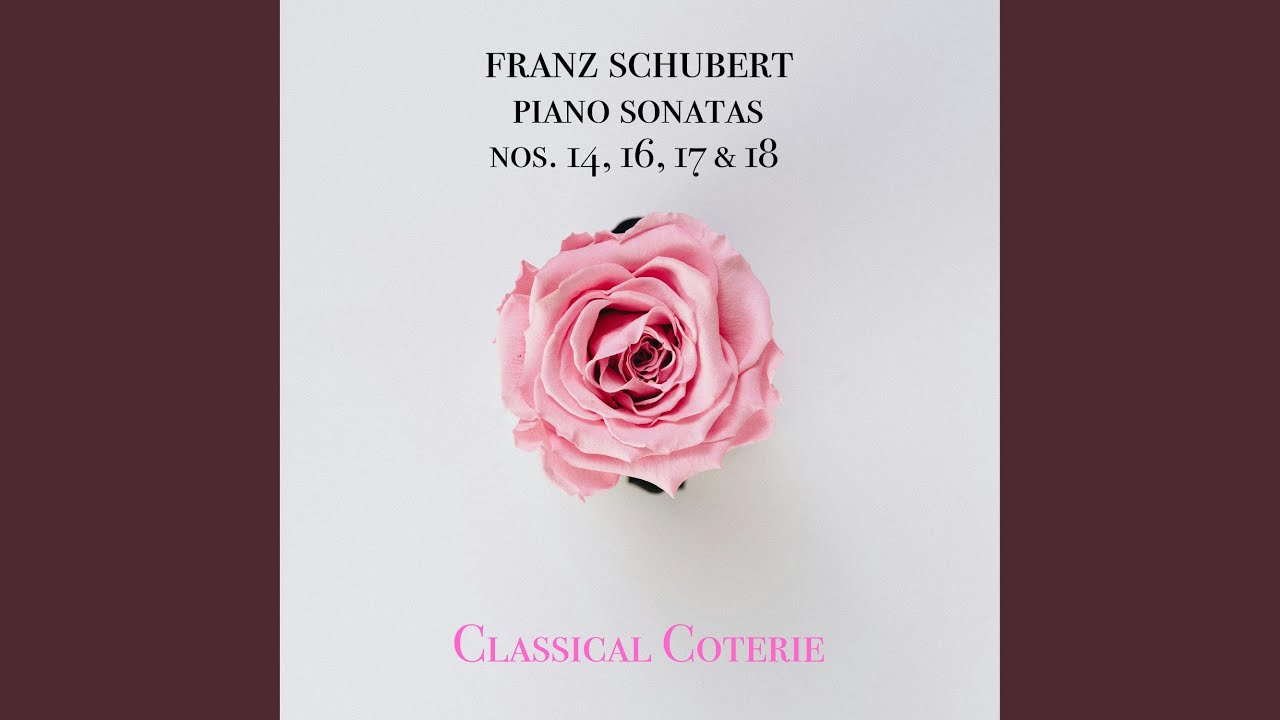 Piano Sonata No. 18 in G Major, D. 894, Op. 78 - III. Menuetto (Allegro moderato)