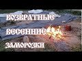 Заморозки на винограднике 28042025 Гродно