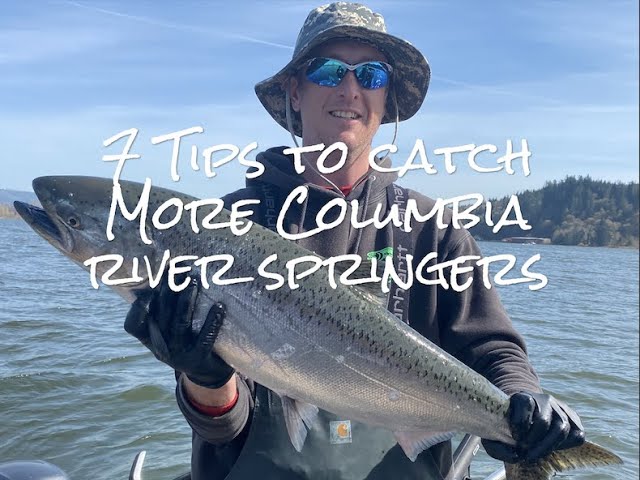How to rig Brads Super bait cut plug for Columbia River Salmon - NEW 2022 