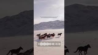 [Audio] The Ghost Who Loved My Girlfriend, And Almost Forced Her To Be His Bride