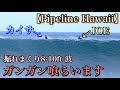 【初パイプへ】大混雑のPIPELINE!!うちらが波を狙う場所とは?!