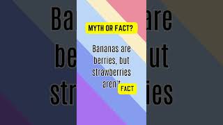 Myth or Fact? Test Your Knowledge!