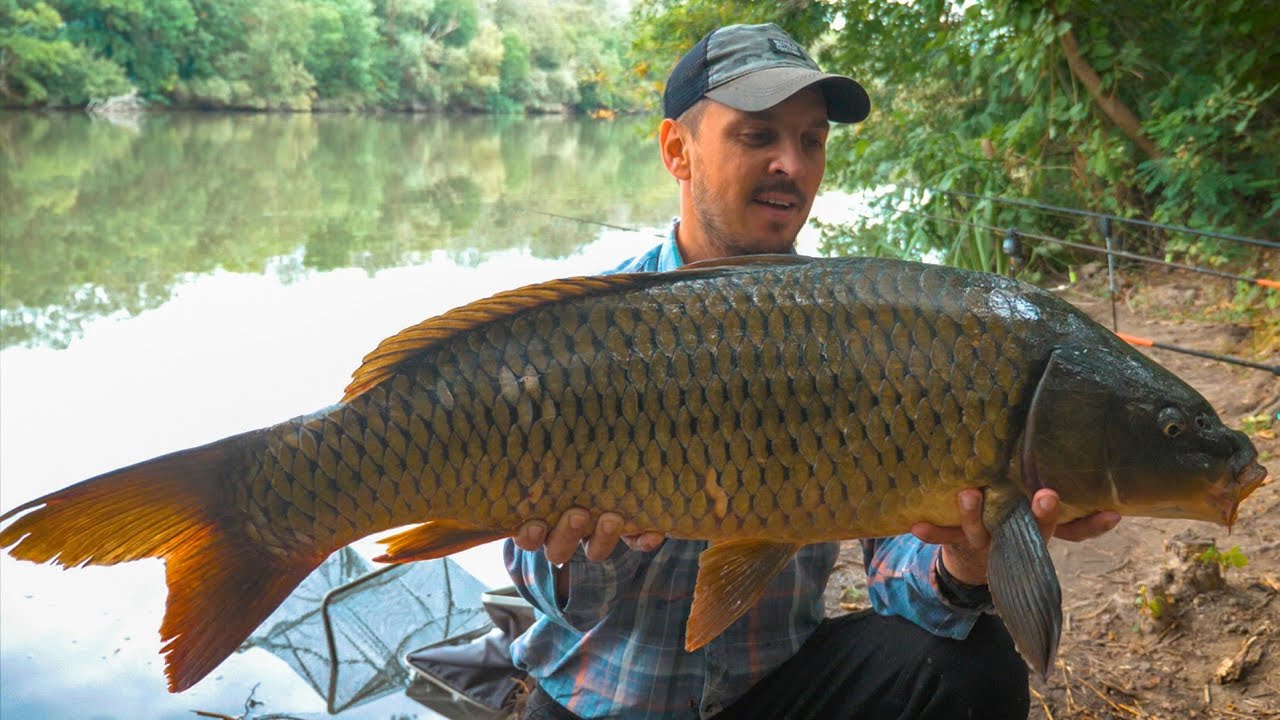 TROFEU SALBATIC 2022/ CRAP MARE DIN RAUL NISTRU