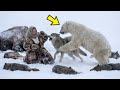 WDOWA JAKUCKA walczy z 1000 WILKAMI i BAWOLIM 5000KG przy -71°C, by uratować głodującą WNUCZKĘ, ale…