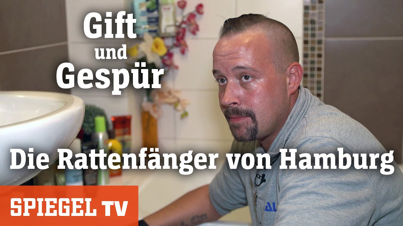 Die Rattenfänger von Hamburg: Gift und Gespür | SPIEGEL TV