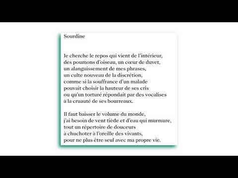 Muted, Pierre Nepveu