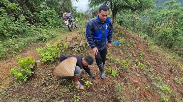 A Tủa Thăm Lại Nương Sắn Và Thật BẤT NGỜ | Cói Lalin