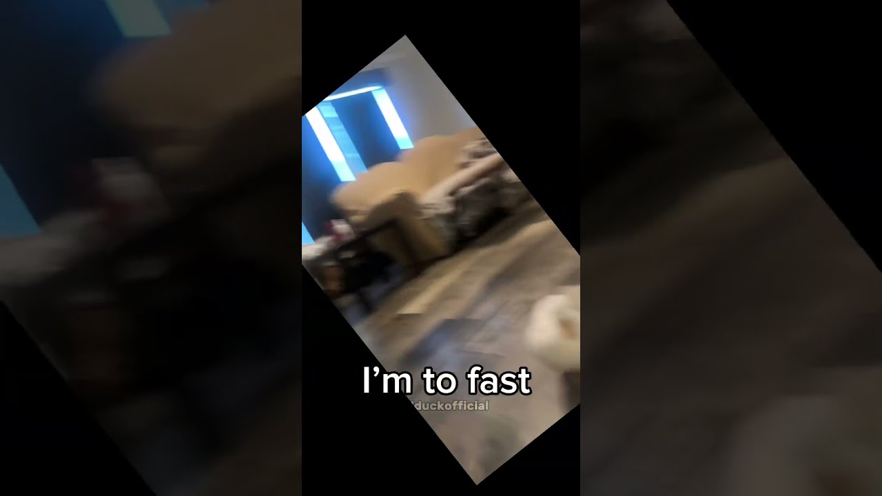 Keep Up I M To Fast Music Edit Duck Funny Animals Y