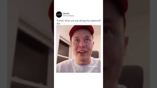 Elon Edibles Musk Feelin Zooted