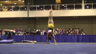 Grant Breckenridge - Floor - 2014 Winter Cup Challenge Prelims
