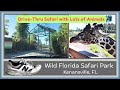 Wild Florida Drive-Thru Safari Park with Ambient Sounds 4K Ultra-HD