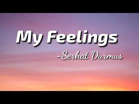 Serhat Durmus - My Feelings (ft.Georgia Ku) | Lyrics video | TheLyricsVibes |