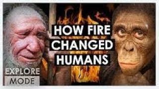 How Fire Changed Humanity