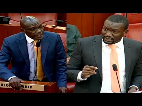 LIVE Senate Proceedings Today Wednesday 19th November 2025 II Morning Session