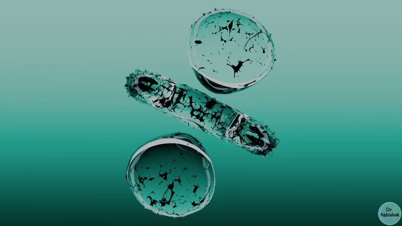 Visualizing 3D Quantum Harmonic Oscillator Wavefunctions