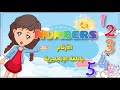 Learn Numbers For Kids From 1 To 5 No Repetition الأرقام من 1 إلى 5 باللغة الإنجليزية بدون تكرار