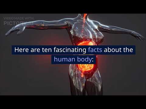 10 Fascinating Facts About the Human Body