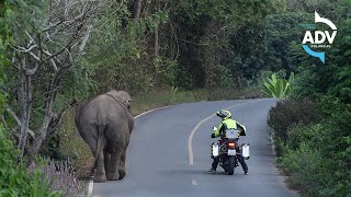 Egzotyka Na Maksa Tajlandia Motocyklem Advpoland.pl