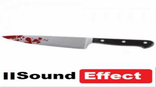 Knive #Sound Effect. (1/10 Home Sounds)