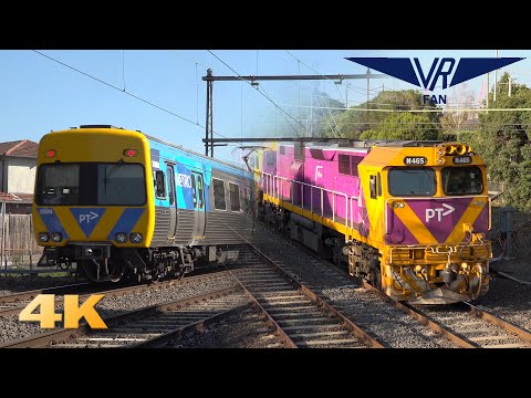 Electric and Diesel Trains in the Northern Suburbs: Australian Trains in 4K