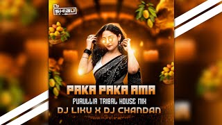 Paka Paka Aam (Purullia Tribal House Mix) Dj Liku X Dj Chandan-(DJ SHIBU BLS) VIRAL SONG REMIX 2026