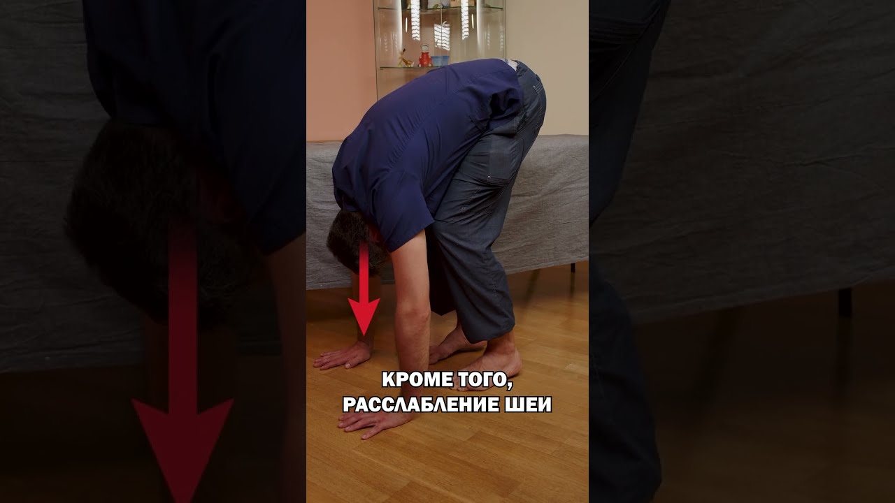 Одно упражнение от всех болезней! #shorts