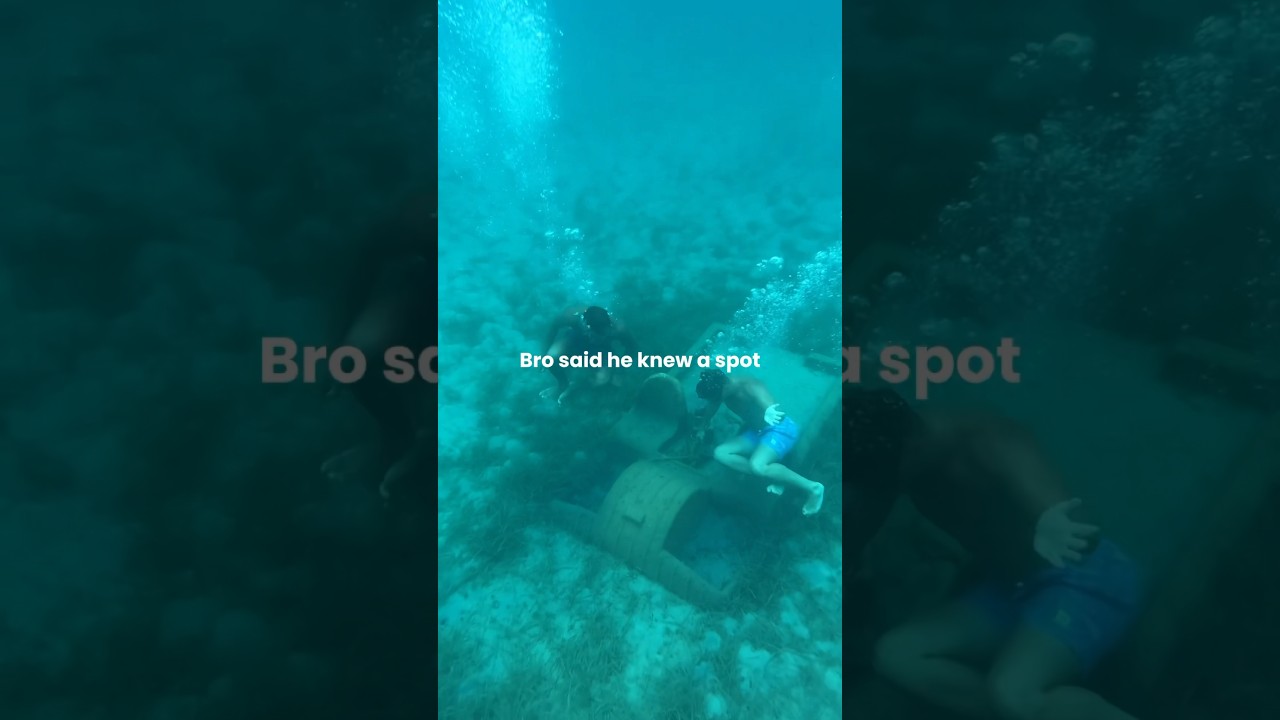 Bro @steva1312 💪🏼#underwater #deepdive #deepsea #shipwreck #spongebob #summer #august #spot #bro