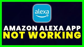 Amazon Alexa App Not Working: How to Fix Amazon Alexa App Not Working screenshot 4