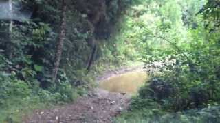 Test Drive Interior Luv Dmax - Autolarte Chevrolet