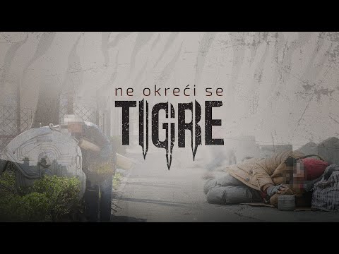 Emisija Petra Gajića - Ne okreći se, Tigre