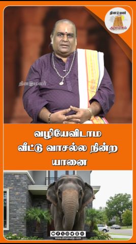 வழியேவிடாம வீட்டு வாசல்ல நின்ற யானை