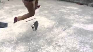 AMAZING SPREAD EAGLE TRE FLIP, SOTY PERFECT BOLTS RYAN SHECKLER