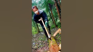cool skill for splitting logs using an axe #shorts