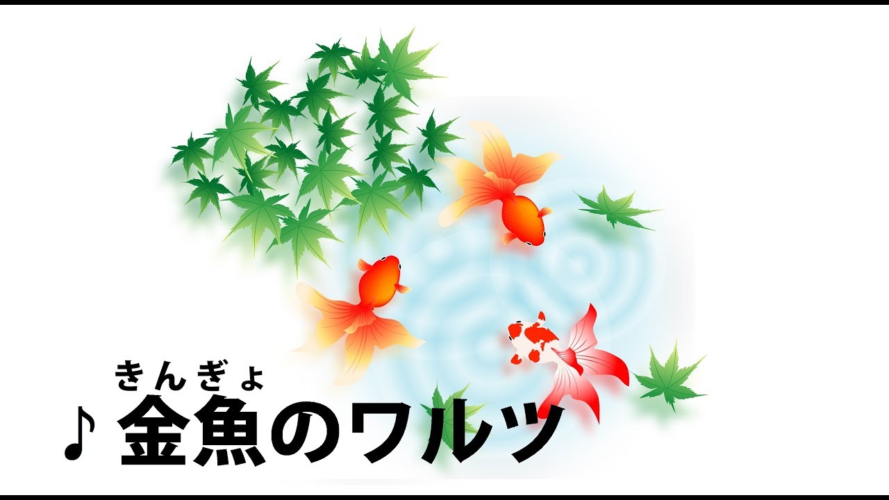 ７月８月 金魚のワルツ 夏の歌 リトミック 手遊び歌 Youtube
