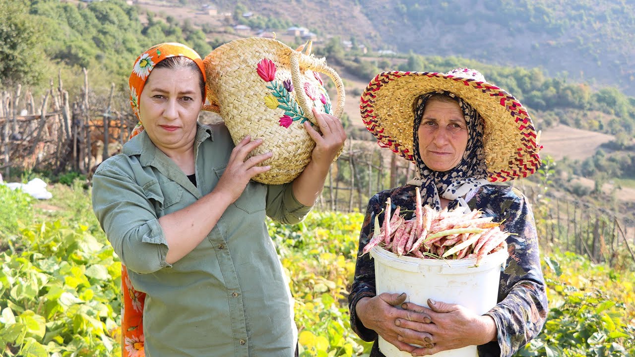 Rural Life in Iran/  Milking Cows and Traditional Farming in a Beautiful Mountain Village in Iran
