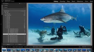 Lightroom Classic Field Workflow:  Setting up a catalog on an external drive