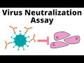 Understanding Virus Neutralization Assays