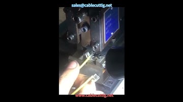 2  Semi automatic silent terminal machine OTP mold electric terminal crimping machine