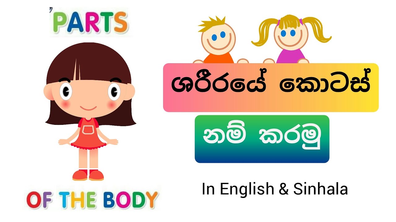 Parts Of The Body In Sinhala And English Body parts-of-the-body-in-sinhala-and-english-body