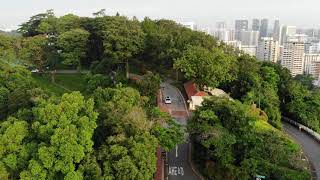 Mount Faber - Gerald 16 Jan 2021