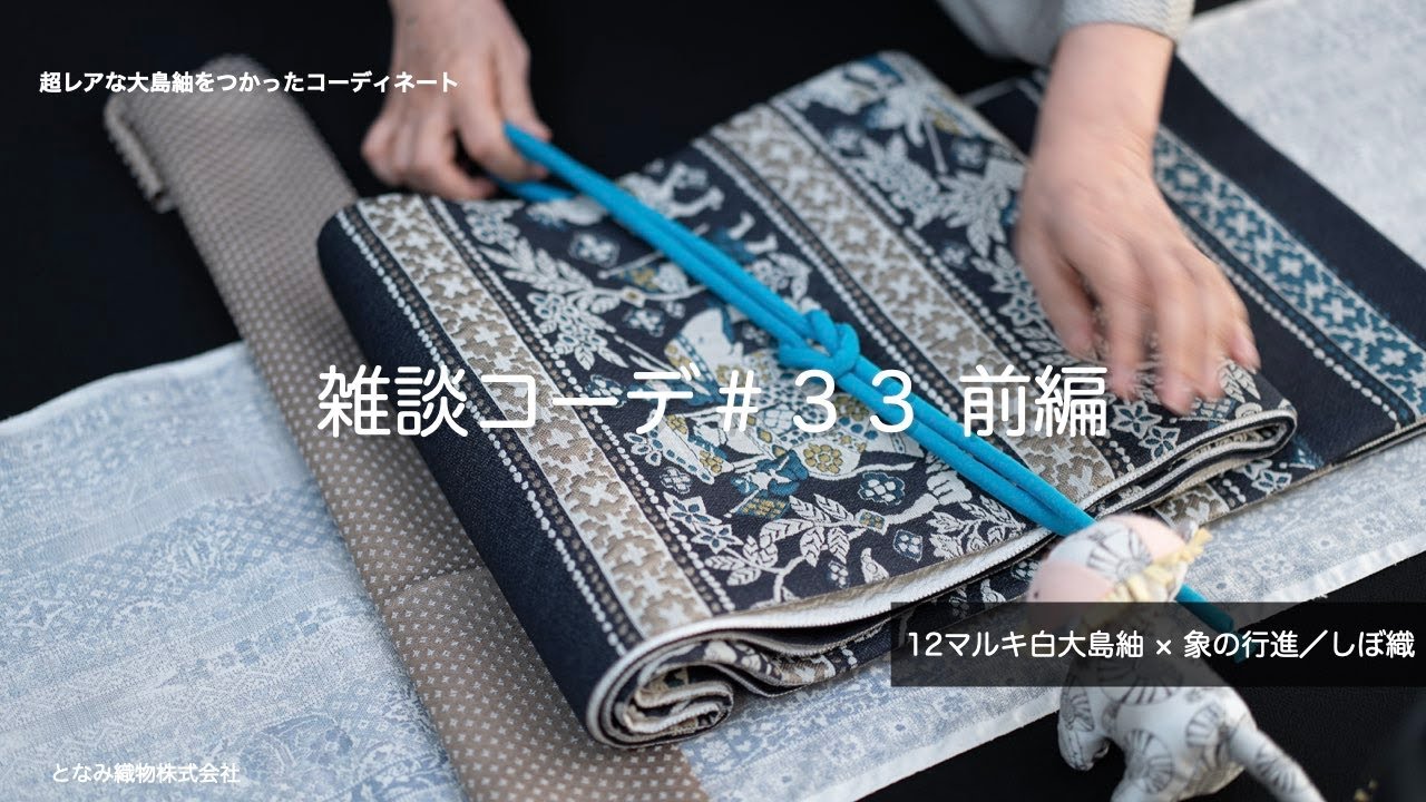 雑談コーデ#33-前半】超レアな12マルキ白大島紬と象の行進