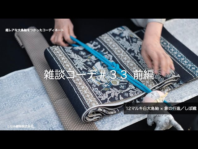 雑談コーデ#33-前半】超レアな12マルキ白大島紬と象の行進 雑談コーデ#33-前半】超レアな12マルキ白大島紬と象の行進
