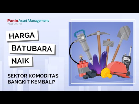 Harga Batu Bara Naik?!: Outlook Komoditas | Outlook Saham Komoditas