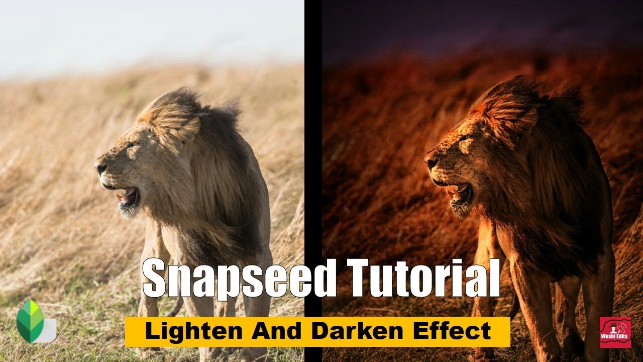 Snapseed Lighten And Darken Effect Tutorial Android Iphone Woshi