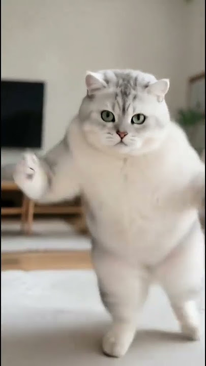 #aiandcats