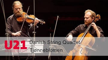Danish String Quartet - Tjønneblomen | Lange Nacht des Streichquartetts